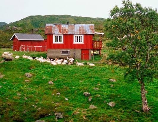 Farms and Land Banner Image 1 e1701383893828